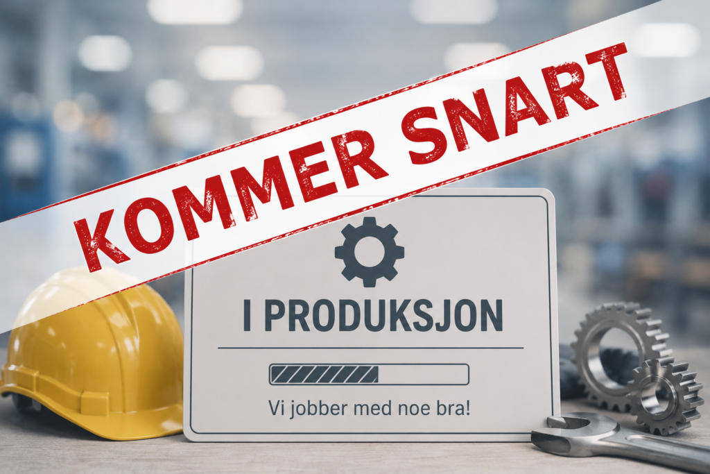 Presentere deg selv (CV og jobbsøknad i praksis)